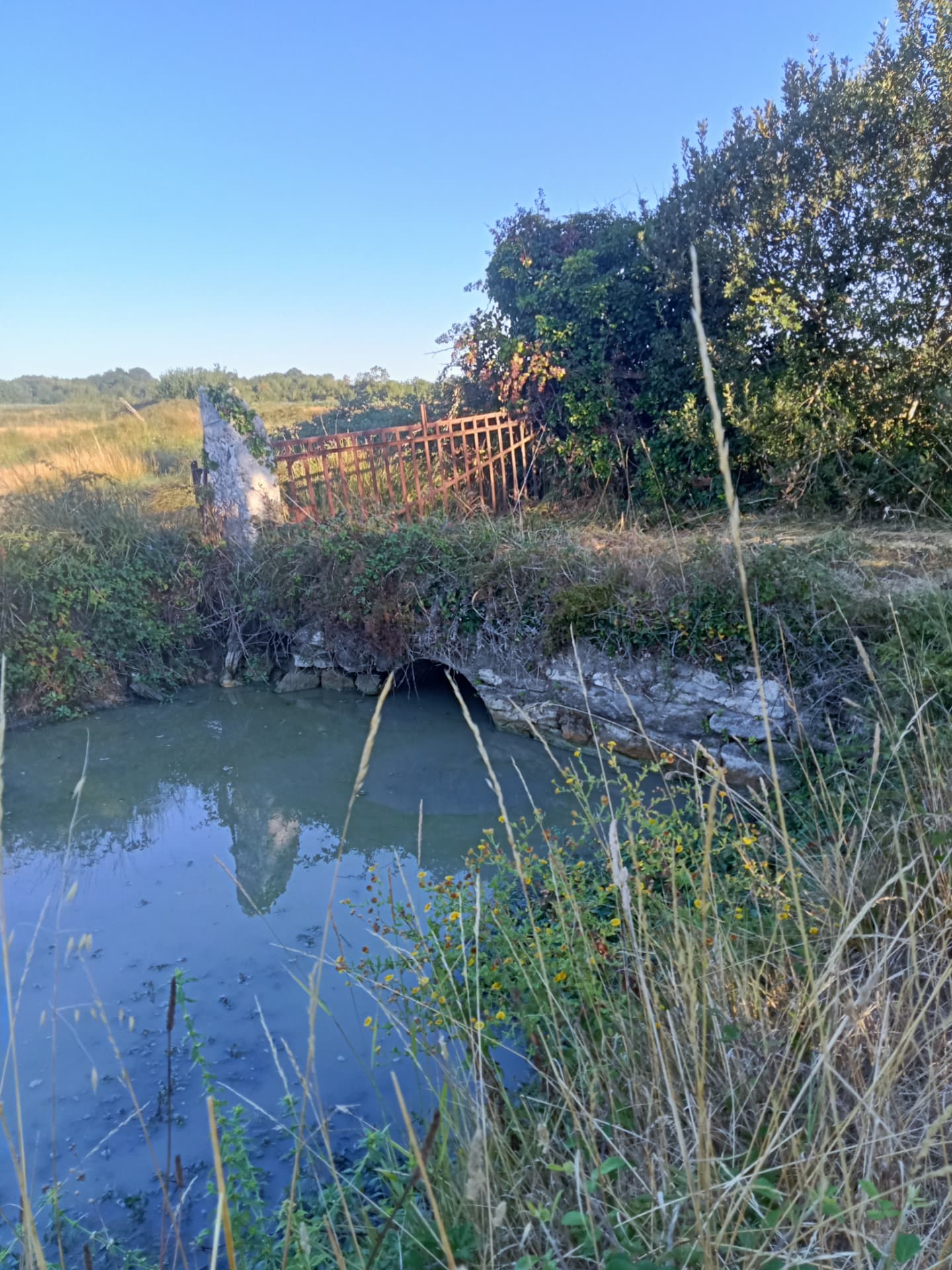 Vanne de pierre et canal au cœur des marais de Saint-Agnant
